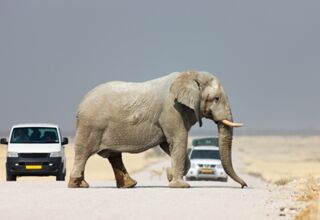 Namibia Abenteuer Familiensafari